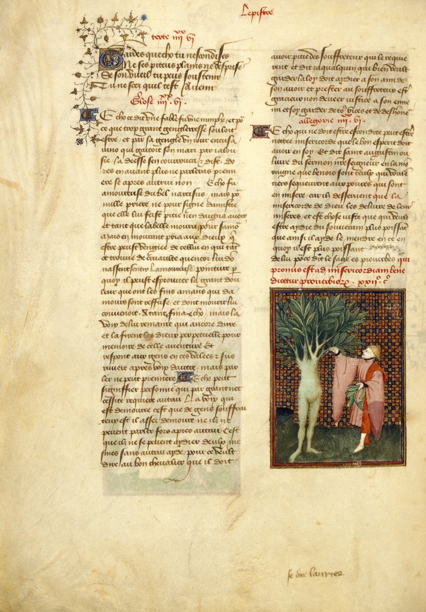 Harley 4431, f.134v Apollo a Daphne, z 