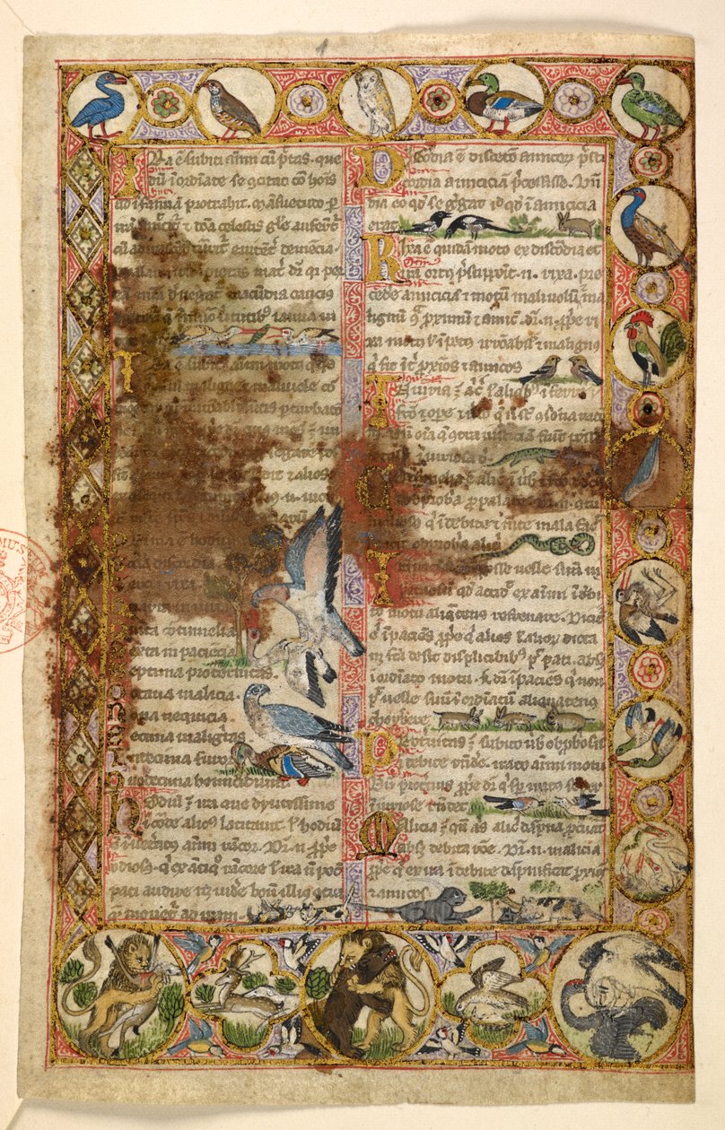 Přidat. 28841, f.1, Geometrické celostránkové ohraničení kosodélníků, rondelů a čtyřlístku obývaných zvířaty a figurální výjevy: Ptáci, plazi a zvířata, včetně lvů útočících na jiné tvory a ptáci bojující mezi sebou, kohout, sova, sna od Master of the Cocharelli Codex