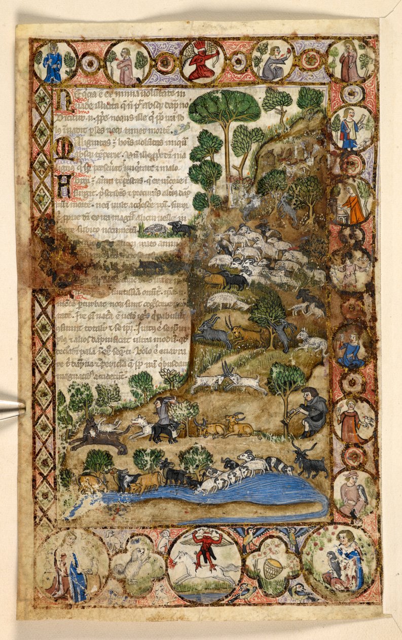 Přidat. 28841, f.1v: Geometrické celostránkové hranice kosodélníků, rondelů a čtyřlístek obývaných zvířaty a figurální výjevy: Pastýři hlídající ovce a kozy a bojující s vlky, červený čert stojící na koni v hranici, z pamlsku od Master of the Cocharelli Codex