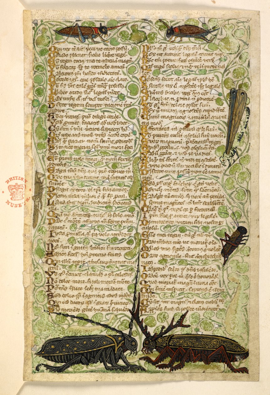 Přidat. 28841, f.2: Rohatí brouci, cvrčci a lokus.  Pojednání o ctnostech a neřestech a anonymní prozaická historie Sicílie (fragment)  Cocharelli od Master of the Cocharelli Codex