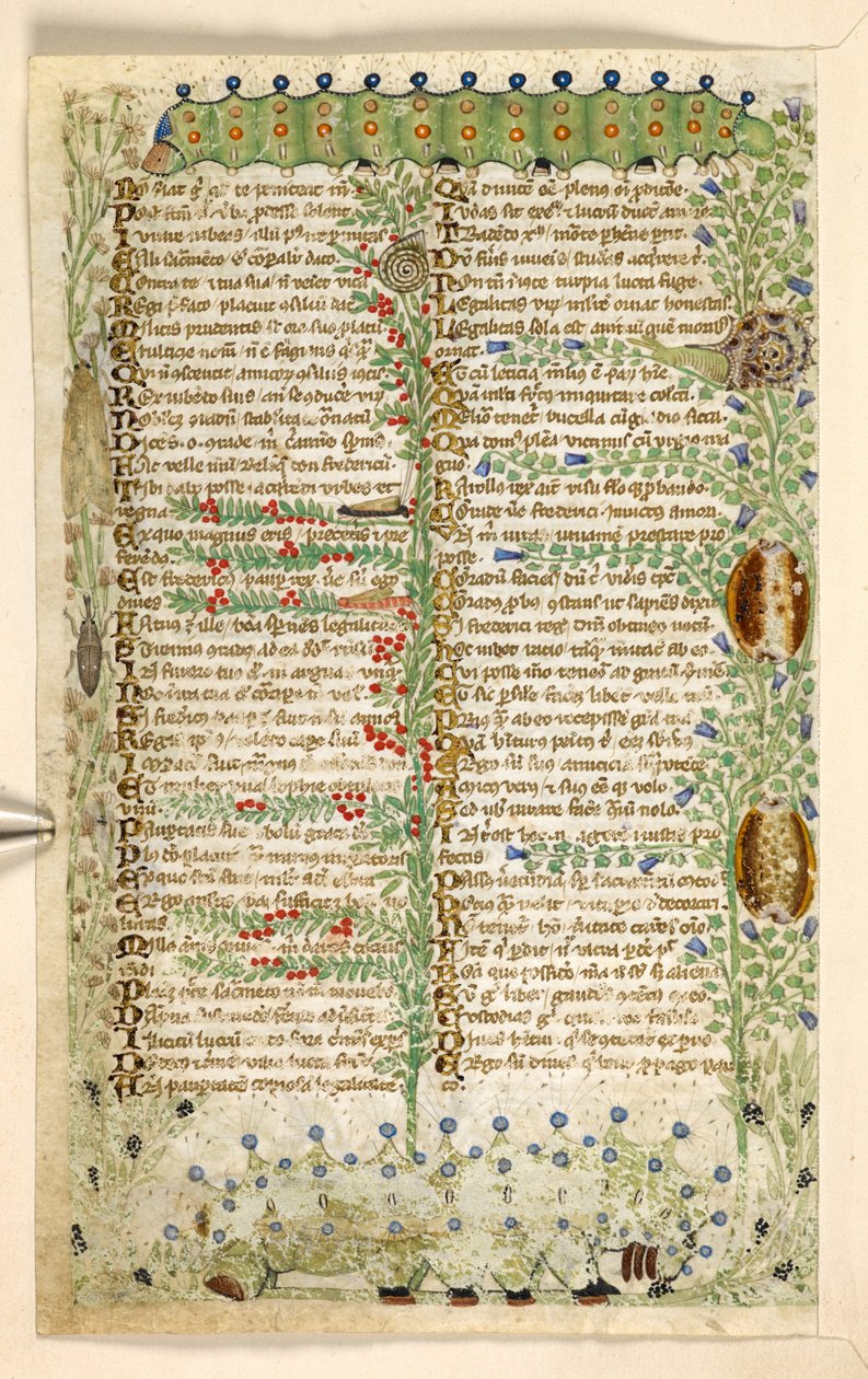 Přidat. 28841, f.2v: Housenky, hlemýždi a jiný hmyz, z Pojednání o ctnostech a neřestech a anonymní historie prózy Sicílie (fragment), kolem 1330-40 (vellum) od Master of the Cocharelli Codex