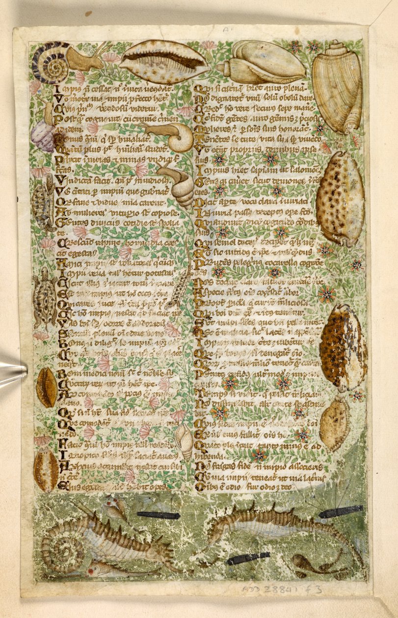 Přidat. 28841, f.3v: Mořští koníci, hlemýždi a mušle, z Pojednání o ctnostech a neřestech a anonymní historie prózy Sicílie (fragment), kolem 1330-40 (vellum) od Master of the Cocharelli Codex