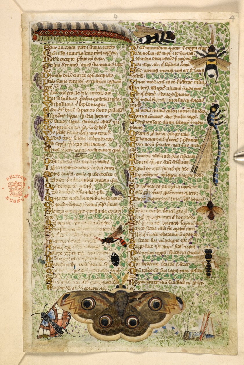 Přidat. 28841, f.4: Vosy, můry, vážky a housenka, z Pojednání o ctnostech a neřestech a anonymní historie prózy Sicílie (fragment), kolem 1330-40 (vellum) od Master of the Cocharelli Codex