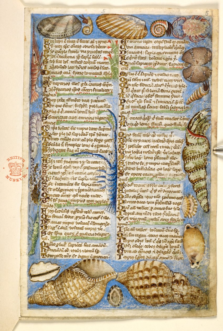 Přidat. 28841, f.5: Mušle a mořští tvorové z Pojednání o ctnostech a neřestech a anonymní prozaická historie Sicílie (fragment), kolem 1330-40 (vellum) od Master of the Cocharelli Codex