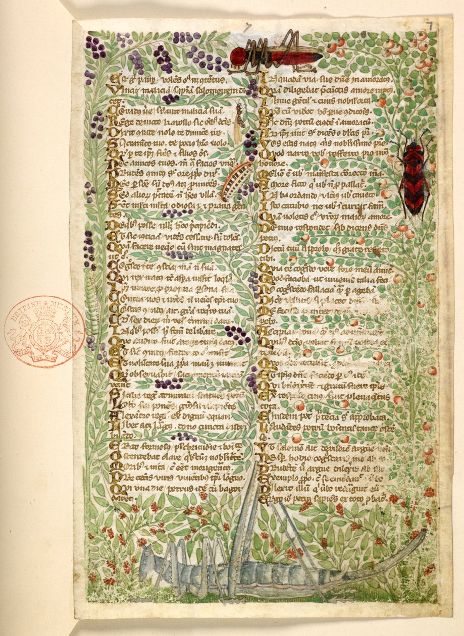 Přidat. 28841, f.7, Květiny, ovoce a hmyz, včetně kobylky a kobylky, z Pojednání o ctnostech a neřestech a anonymní historie prózy Sicílie (fragment) od Master of the Cocharelli Codex
