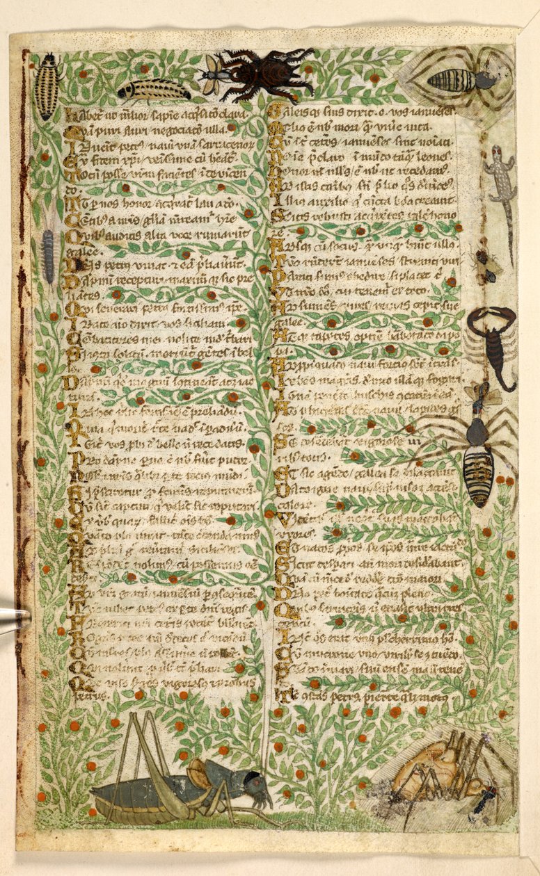 Přidat. 28841, f.7v: Květiny, ovoce a hmyz, včetně štíra a ještěrky.  Pojednání o ctnostech a neřestech a anonymní prozaická historie Sicílie (fragment)  Cocharelli od Master of the Cocharelli Codex