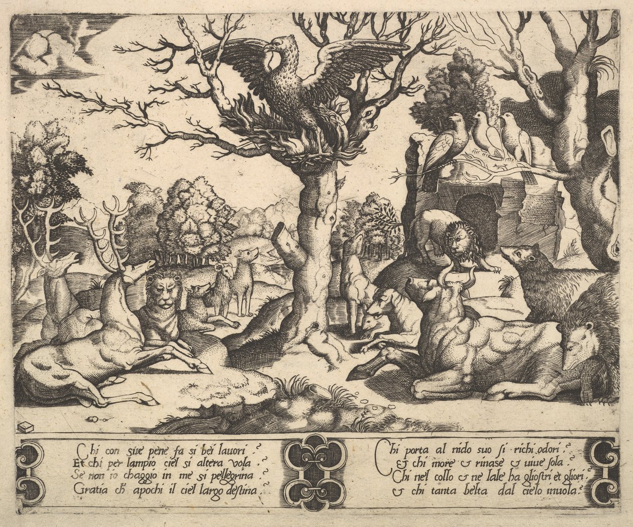 Fénix seděl na vrcholu stromu, křídla rozevřená, pod ním řada zvířat, 1530-60. od Master of the Die