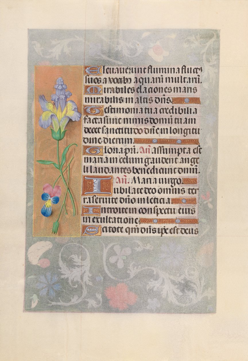 Hodiny královny Isabely Katolické, královny Španělska: Fol. 116v, c. 1500. od Master of the First Prayerbook of Maximillian