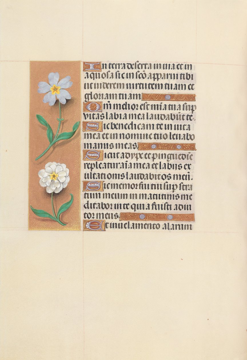 Hodiny královny Isabely Katolické, královny Španělska: Fol. 117v, c. 1500. od Master of the First Prayerbook of Maximillian