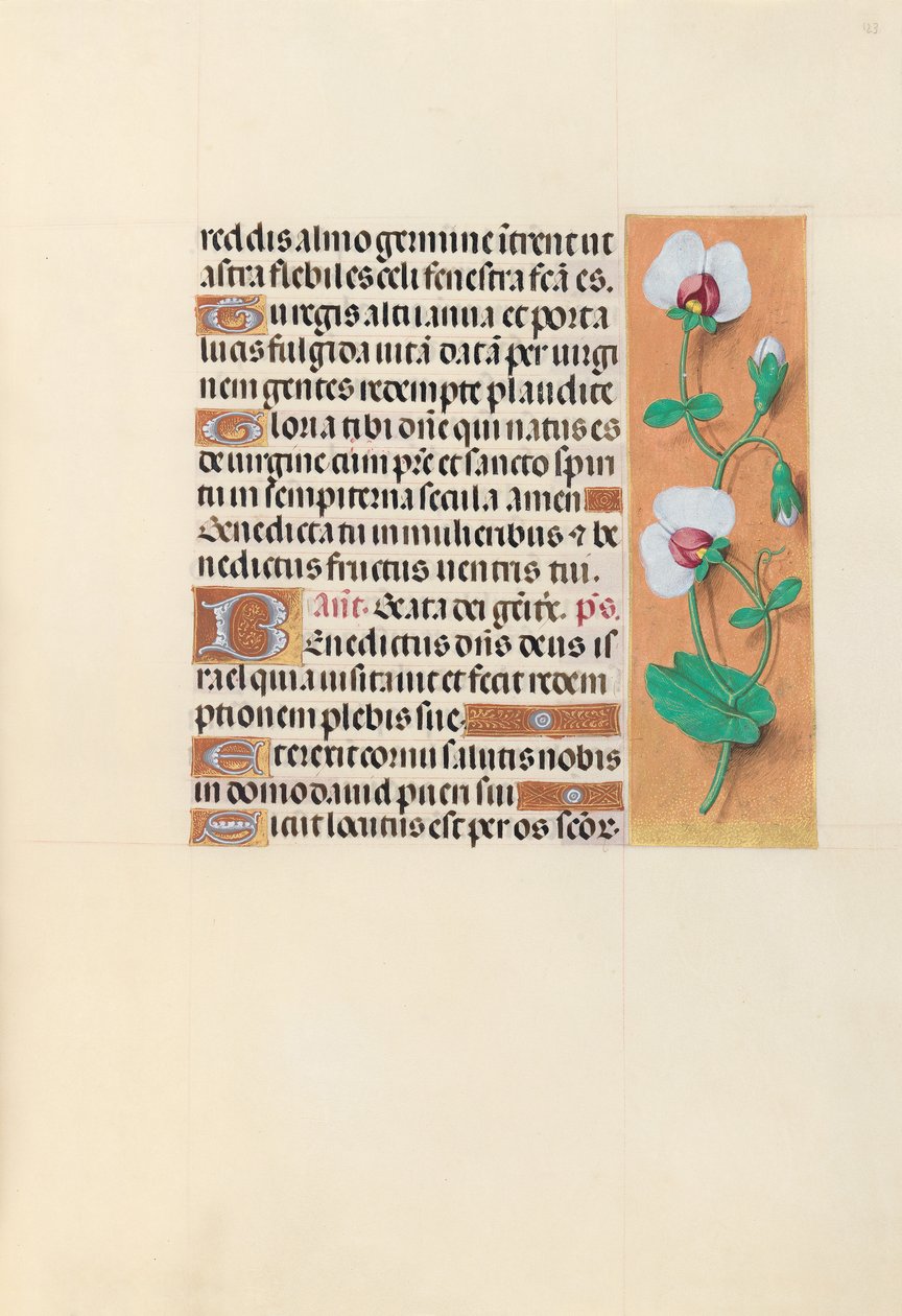 Hodiny královny Isabely Katolické, královny Španělska: Fol. 123r, c. 1500. od Master of the First Prayerbook of Maximillian