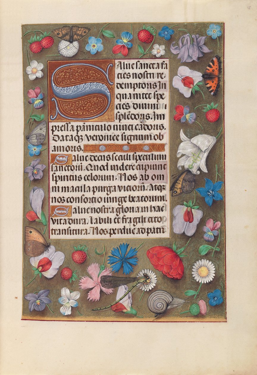 Hodiny královny Isabely Katolické, královny Španělska: Fol. 15r, c. 1500. od Master of the First Prayerbook of Maximillian