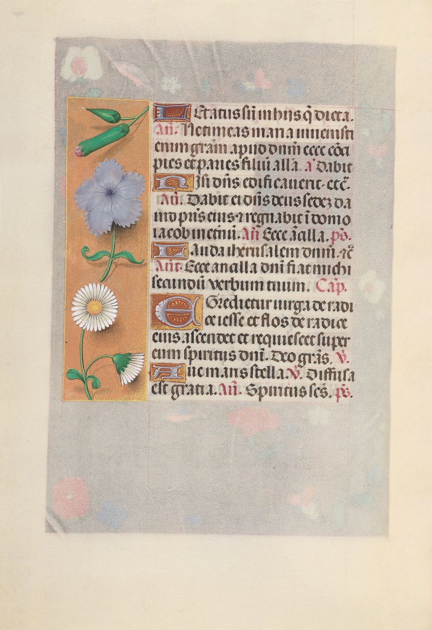 Hodiny královny Isabely Katolické, královny Španělska: Fol. 160V, c. 1500. od Master of the First Prayerbook of Maximillian
