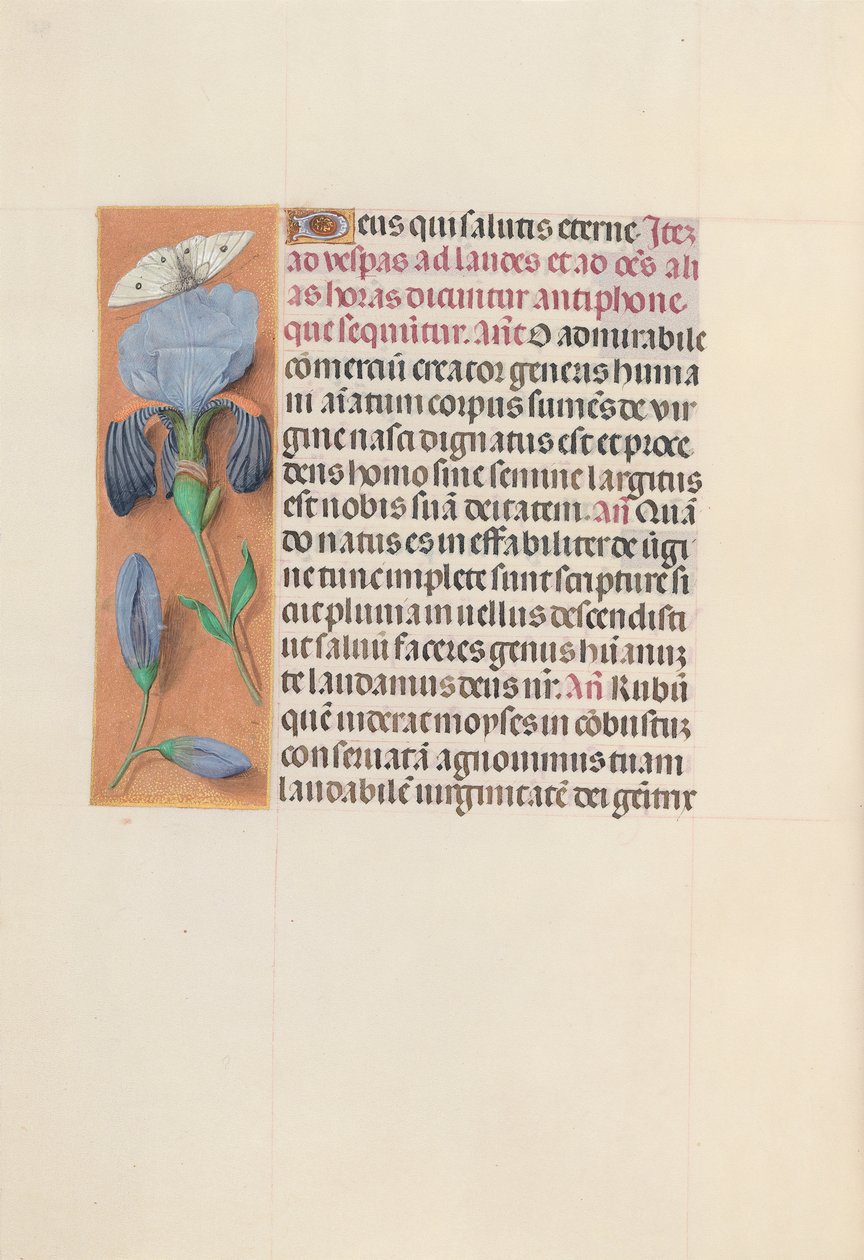 Hodiny královny Isabely Katolické, královny Španělska: Fol. 165v, c. 1500. od Master of the First Prayerbook of Maximillian