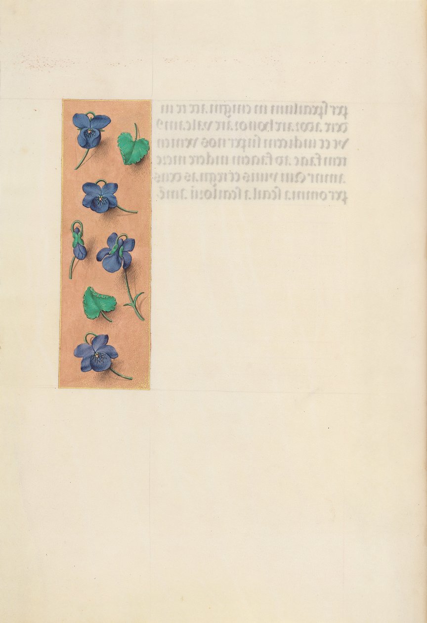 Hodiny královny Isabely Katolické, královny Španělska: Fol. 16v, krátký okraj, c. 1500. od Master of the First Prayerbook of Maximillian