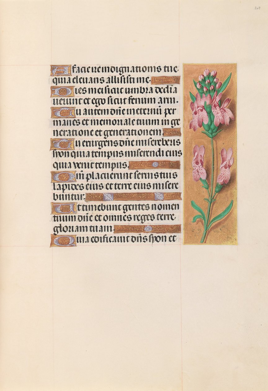 Hodiny královny Isabely Katolické, královny Španělska: Fol. 207r, c. 1500. od Master of the First Prayerbook of Maximillian