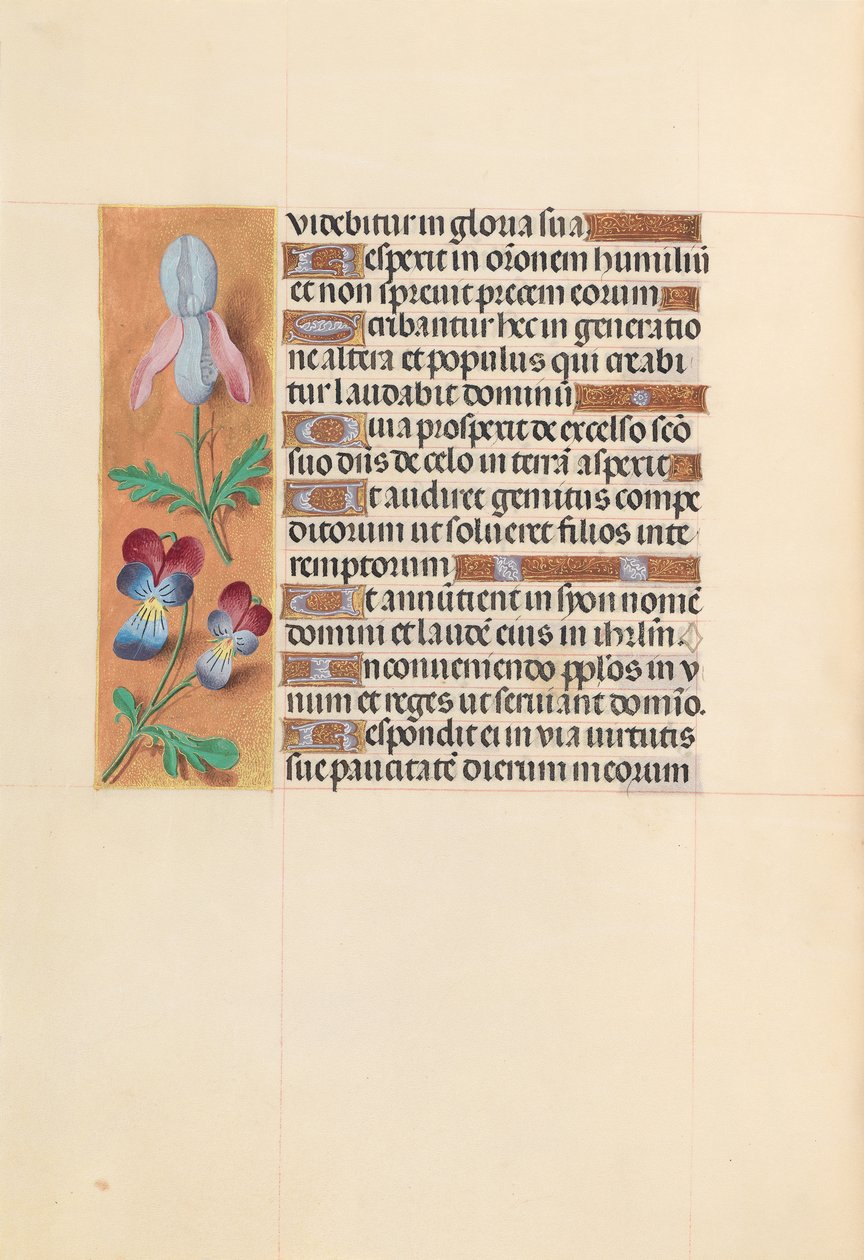 Hodiny královny Isabely Katolické, královny Španělska: Fol. 207v, c. 1500. od Master of the First Prayerbook of Maximillian