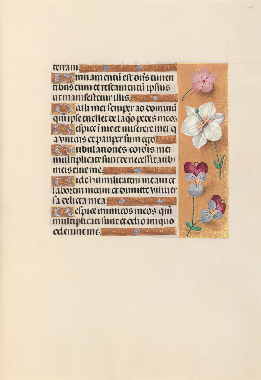 Hodiny královny Isabely Katolické, královny Španělska: Fol. 235r, c. 1500. od Master of the First Prayerbook of Maximillian