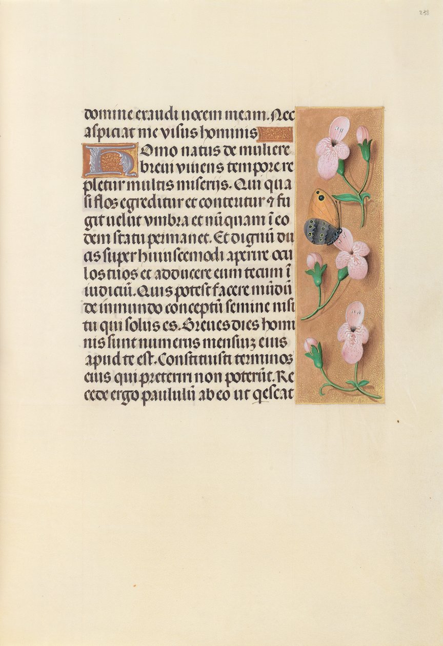 Hodiny královny Isabely Katolické, královny Španělska: Fol. 238r, c. 1500. od Master of the First Prayerbook of Maximillian