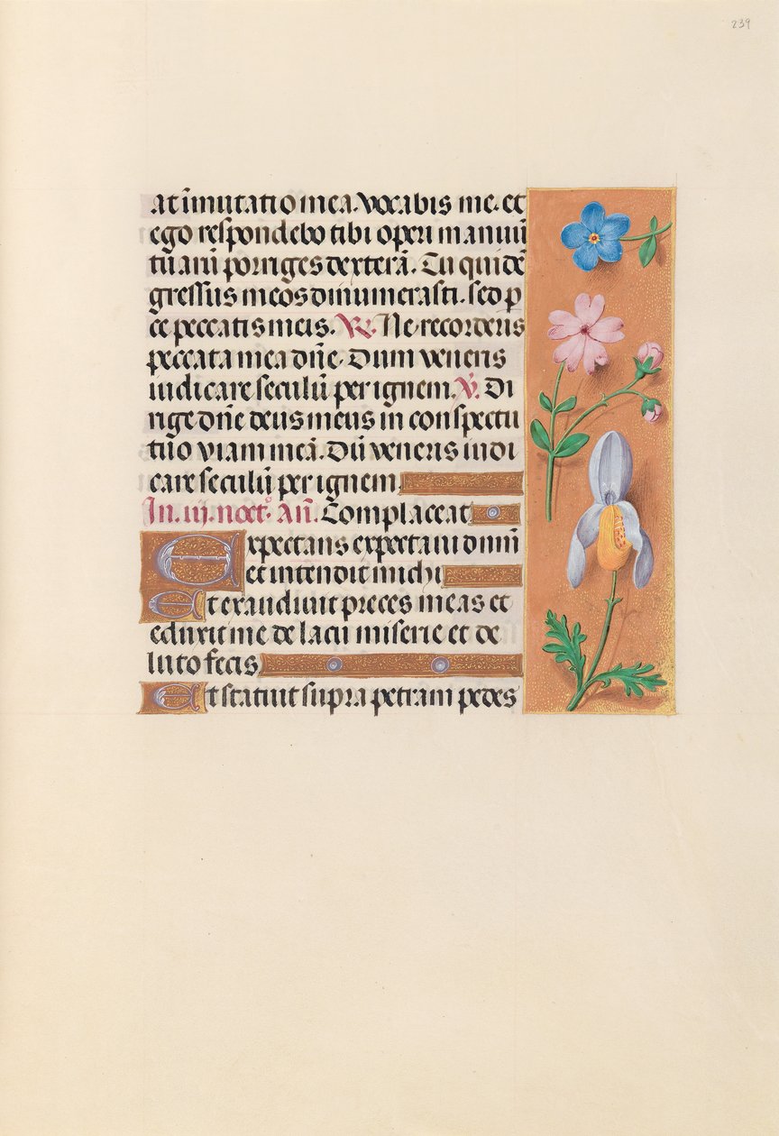 Hodiny královny Isabely Katolické, královny Španělska: Fol. 239r, c. 1500. od Master of the First Prayerbook of Maximillian