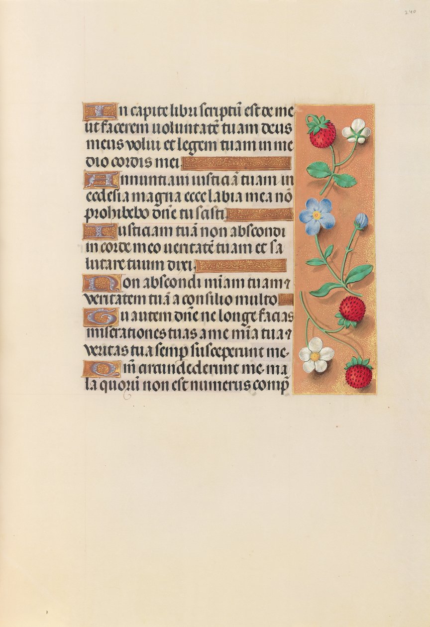 Hodiny královny Isabely Katolické, královny Španělska: Fol. 240r, c. 1500. od Master of the First Prayerbook of Maximillian