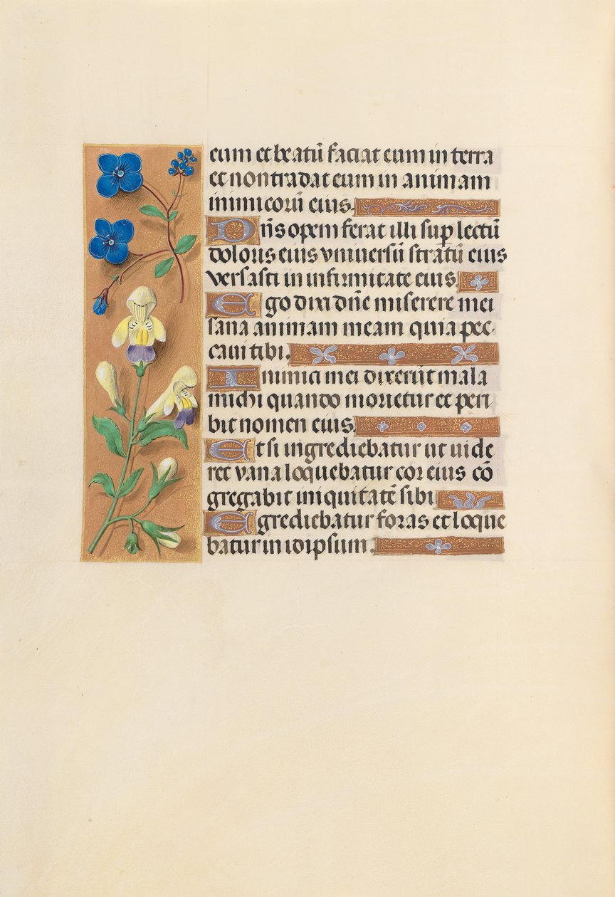 Hodiny královny Isabely Katolické, královny Španělska: Fol. 241v, c. 1500. od Master of the First Prayerbook of Maximillian