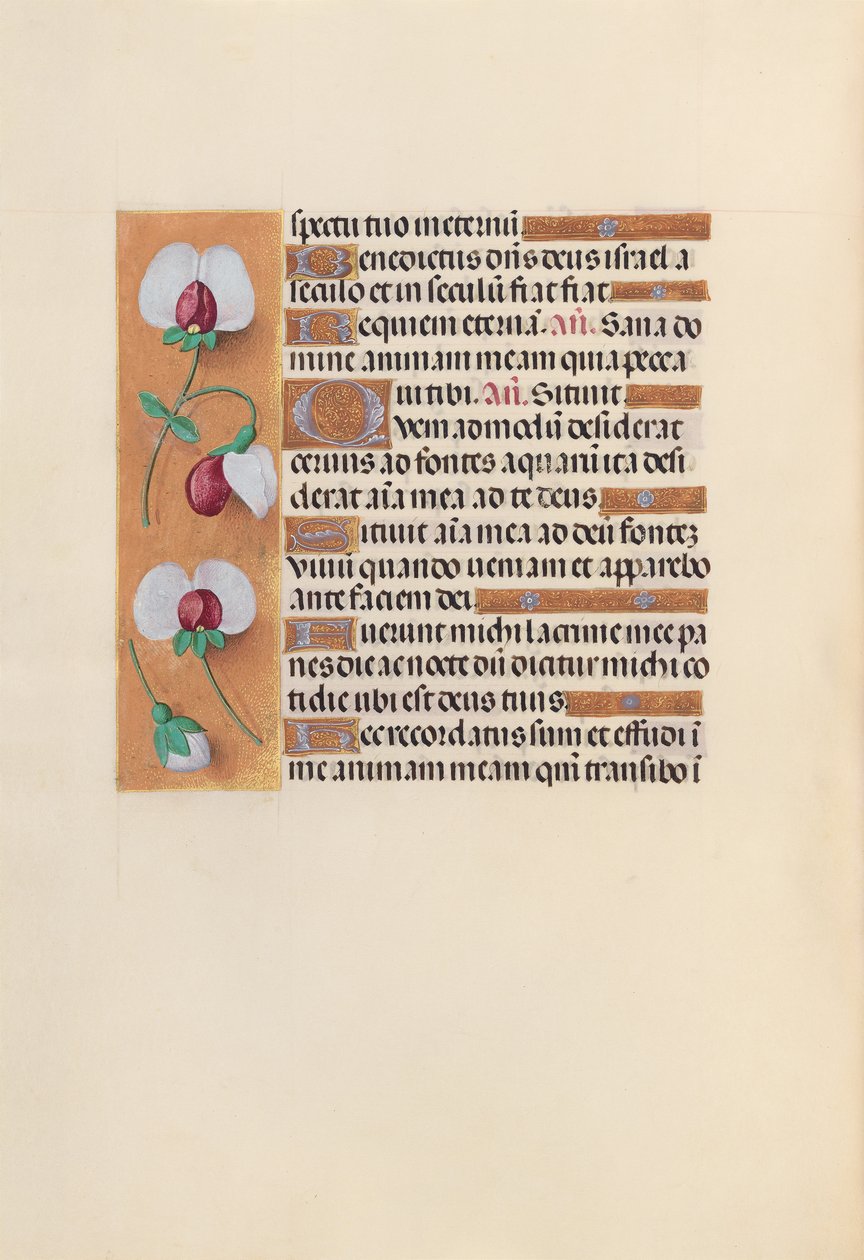 Hodiny královny Isabely Katolické, královny Španělska: Fol. 242v, c. 1500. od Master of the First Prayerbook of Maximillian
