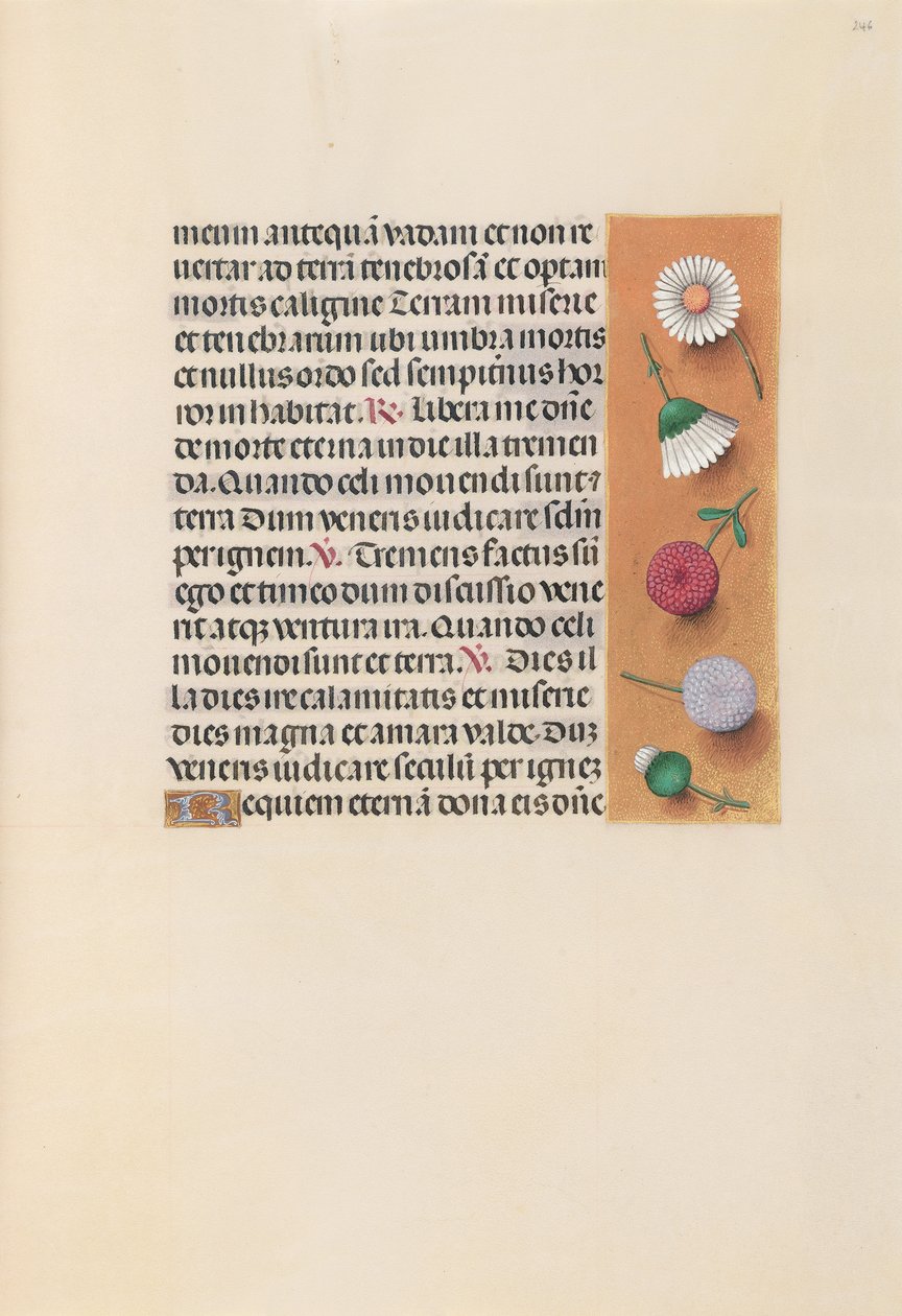 Hodiny královny Isabely Katolické, královny Španělska: Fol. 245r, c. 1500. od Master of the First Prayerbook of Maximillian