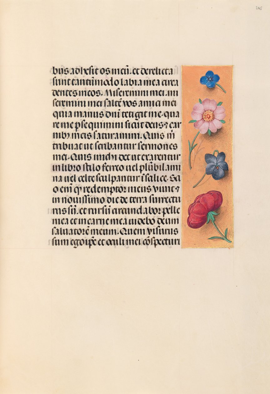 Hodiny královny Isabely Katolické, královny Španělska: Fol. 245r, c. 1500. od Master of the First Prayerbook of Maximillian