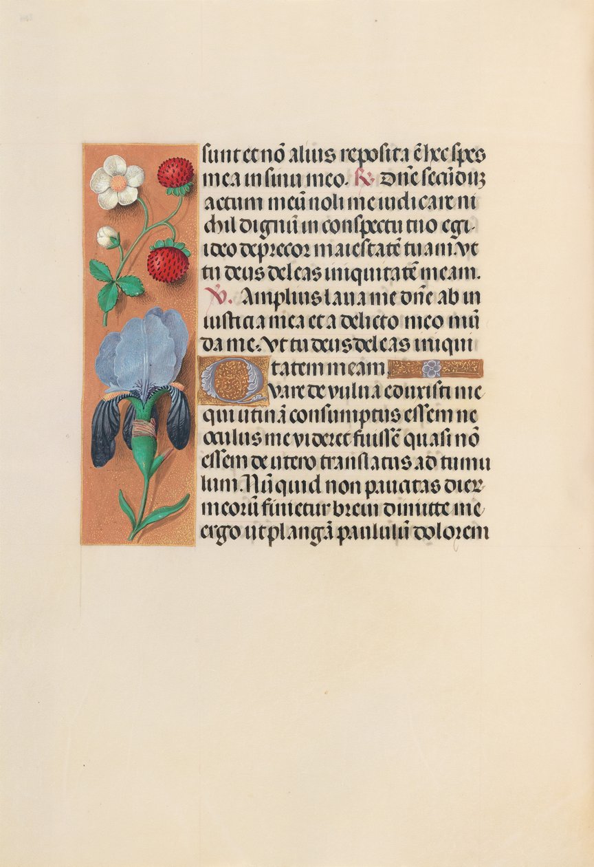 Hodiny královny Isabely Katolické, královny Španělska: Fol. 245 V, c. 1500. od Master of the First Prayerbook of Maximillian