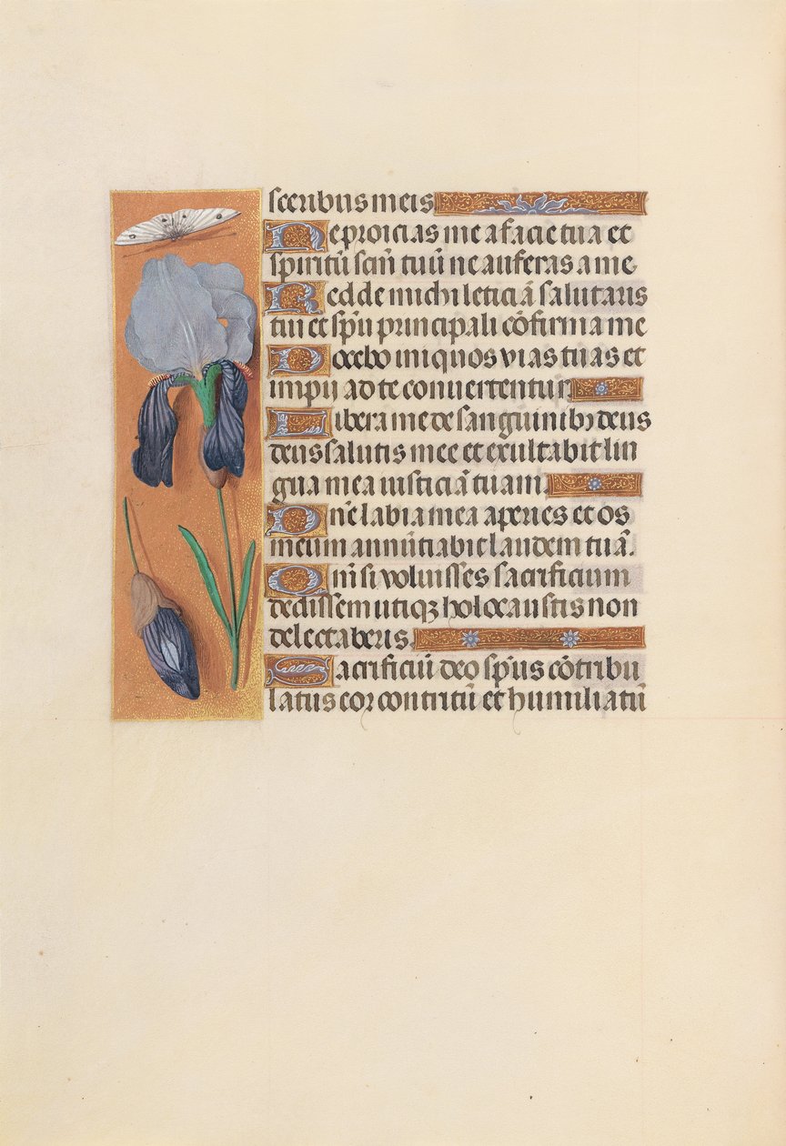 Hodiny královny Isabely Katolické, královny Španělska: Fol. 247v, c. 1500. od Master of the First Prayerbook of Maximillian
