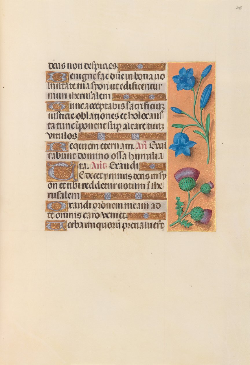 Hodiny královny Isabely Katolické, královny Španělska: Fol. 248r, c. 1500. od Master of the First Prayerbook of Maximillian