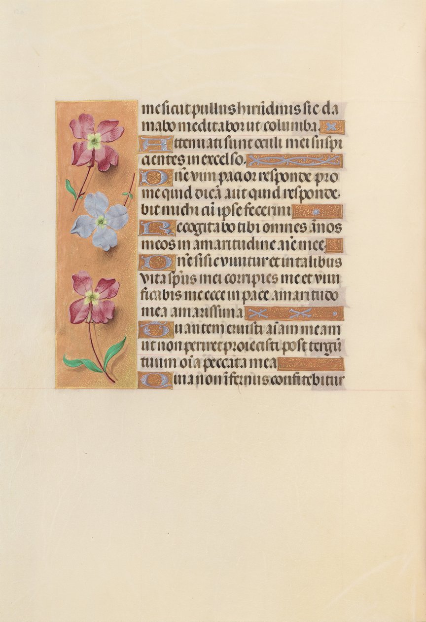 Hodiny královny Isabely Katolické, královny Španělska: Fol. 251v, c. 1500. od Master of the First Prayerbook of Maximillian