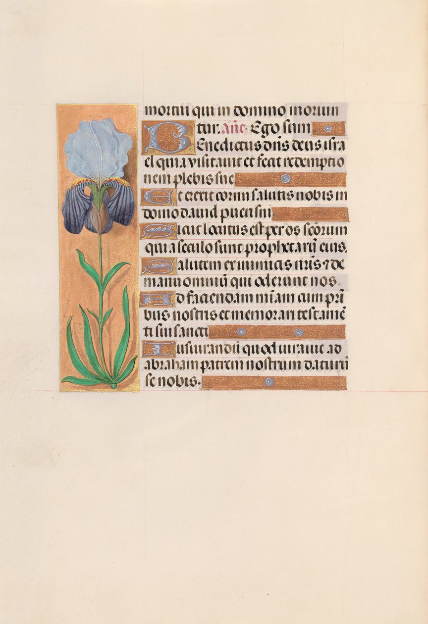 Hodiny královny Isabely Katolické, královny Španělska: Fol. 254v, c. 1500. od Master of the First Prayerbook of Maximillian