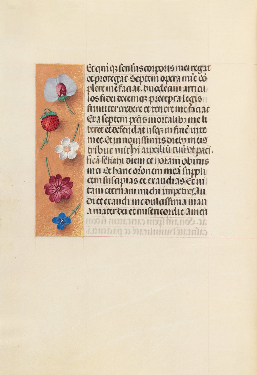 Hodiny královny Isabely Katolické, královny Španělska: Fol. 260v, Pieta, c. 1500. od Master of the First Prayerbook of Maximillian