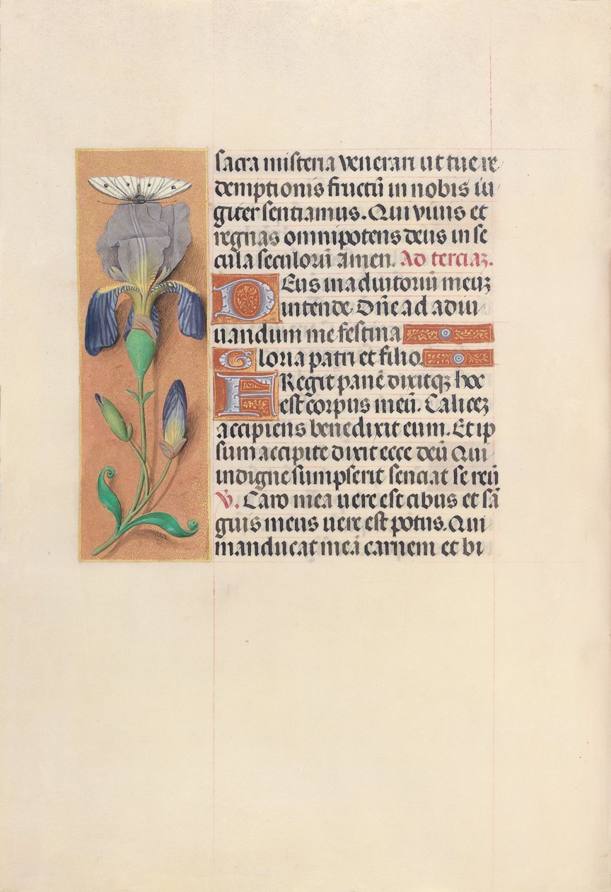 Hodiny královny Isabely Katolické, královny Španělska: Fol. 45V, c. 1500. od Master of the First Prayerbook of Maximillian