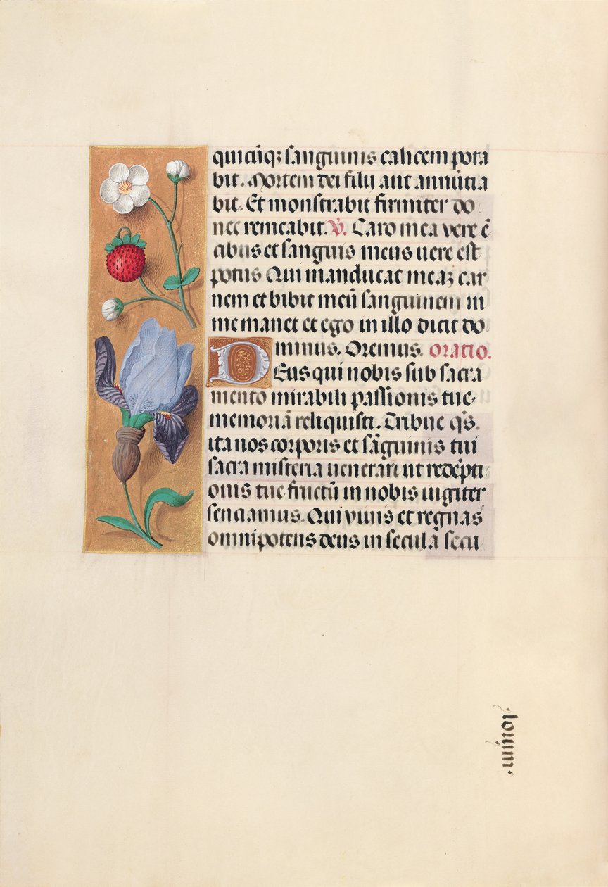 Hodiny královny Isabely Katolické, královny Španělska: Fol. 46v, c. 1500. od Master of the First Prayerbook of Maximillian