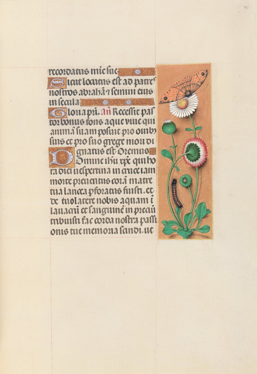 Hodiny královny Isabely Katolické, královny Španělska: Fol. 76r, c. 1500. od Master of the First Prayerbook of Maximillian