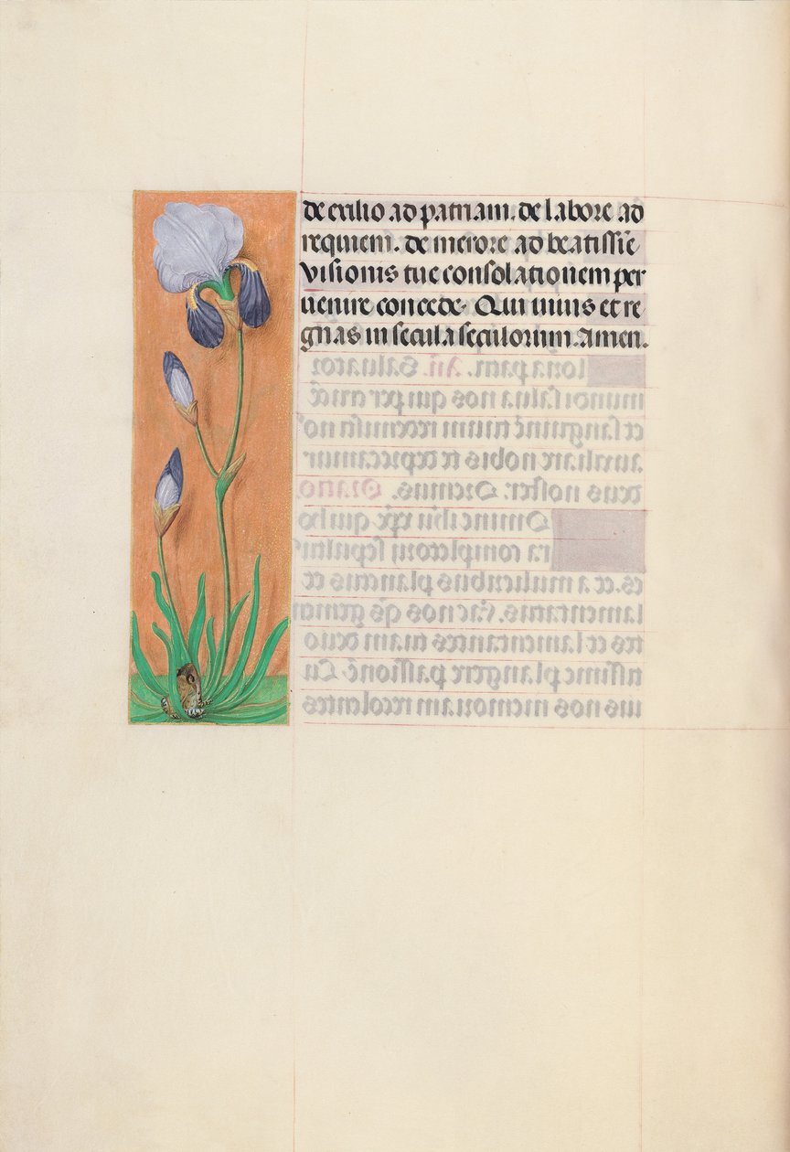 Hodiny královny Isabely Katolické, královny Španělska: Fol. 79v, c. 1500. od Master of the First Prayerbook of Maximillian