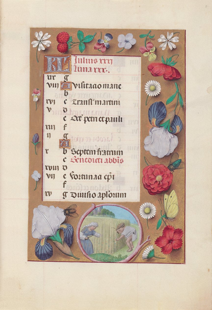 Hodiny královny Isabely Katolické, královny Španělska: Fol. 8r, červenec - Sklizeň pšenice, cca. 1500. od Master of the First Prayerbook of Maximillian