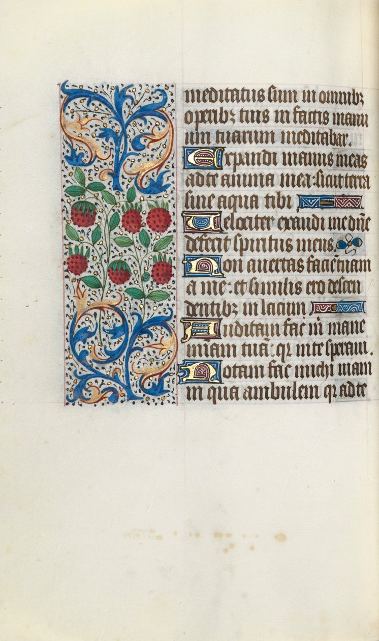 Kniha hodin Použití Rouen: fol. 91v, c. 1470. od Master of the Geneva Latini