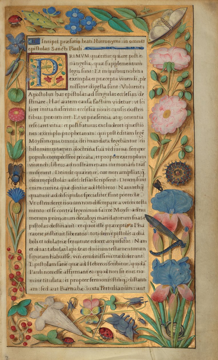 Zdobená textová stránka od Master of the Getty Epistles