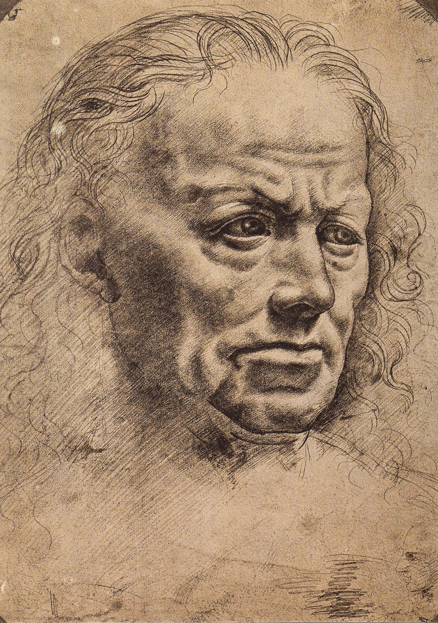 Hlava muže od Master of the Pala Sforzesca
