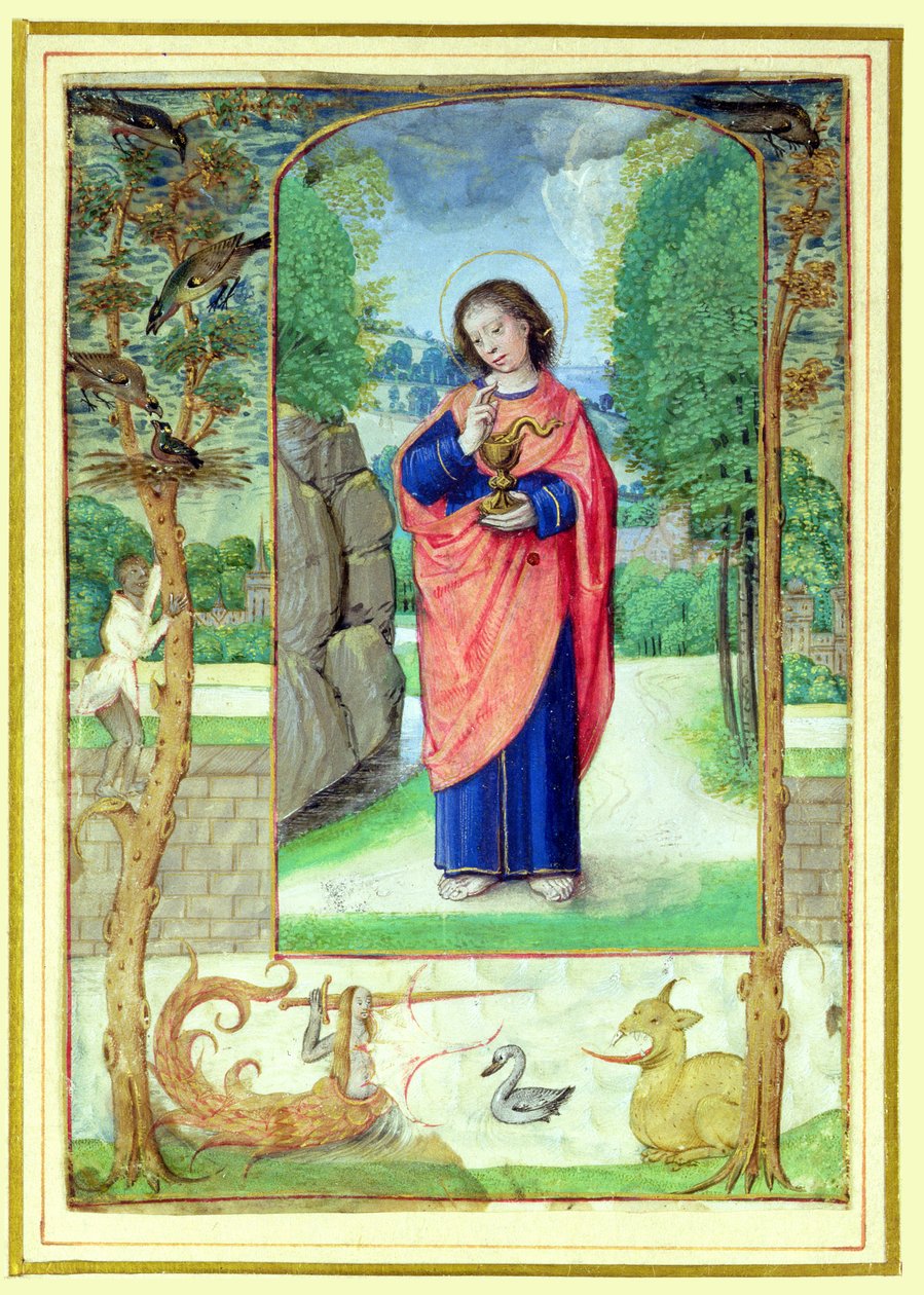 Svatý Jan Evangelista, z knihy hodin od Master of the Prayerbook