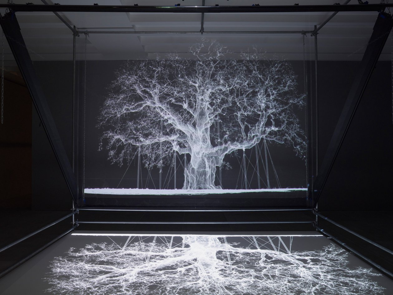 Albion, 2017 (projektor, přehrávač médií, lešení, průhledná fólie, dřevo, barva, zrcadlo, natahovací příslušenství) od Mat Collishaw