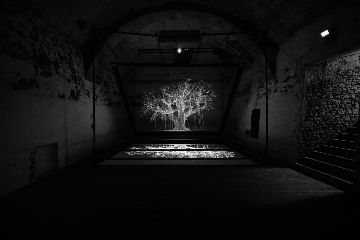 Albion, 2017 (projektor, přehrávač médií, lešení, průhledná fólie, dřevo, barva, zrcadlo, natahovací příslušenství) od Mat Collishaw