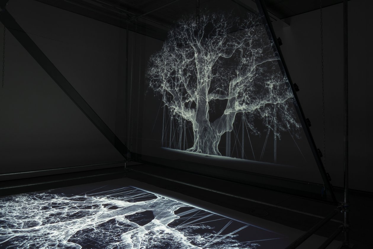 Albion, 2017 (projektor, přehrávač médií, lešení, průhledná fólie, dřevo, barva, zrcadlo, natahovací příslušenství) od Mat Collishaw