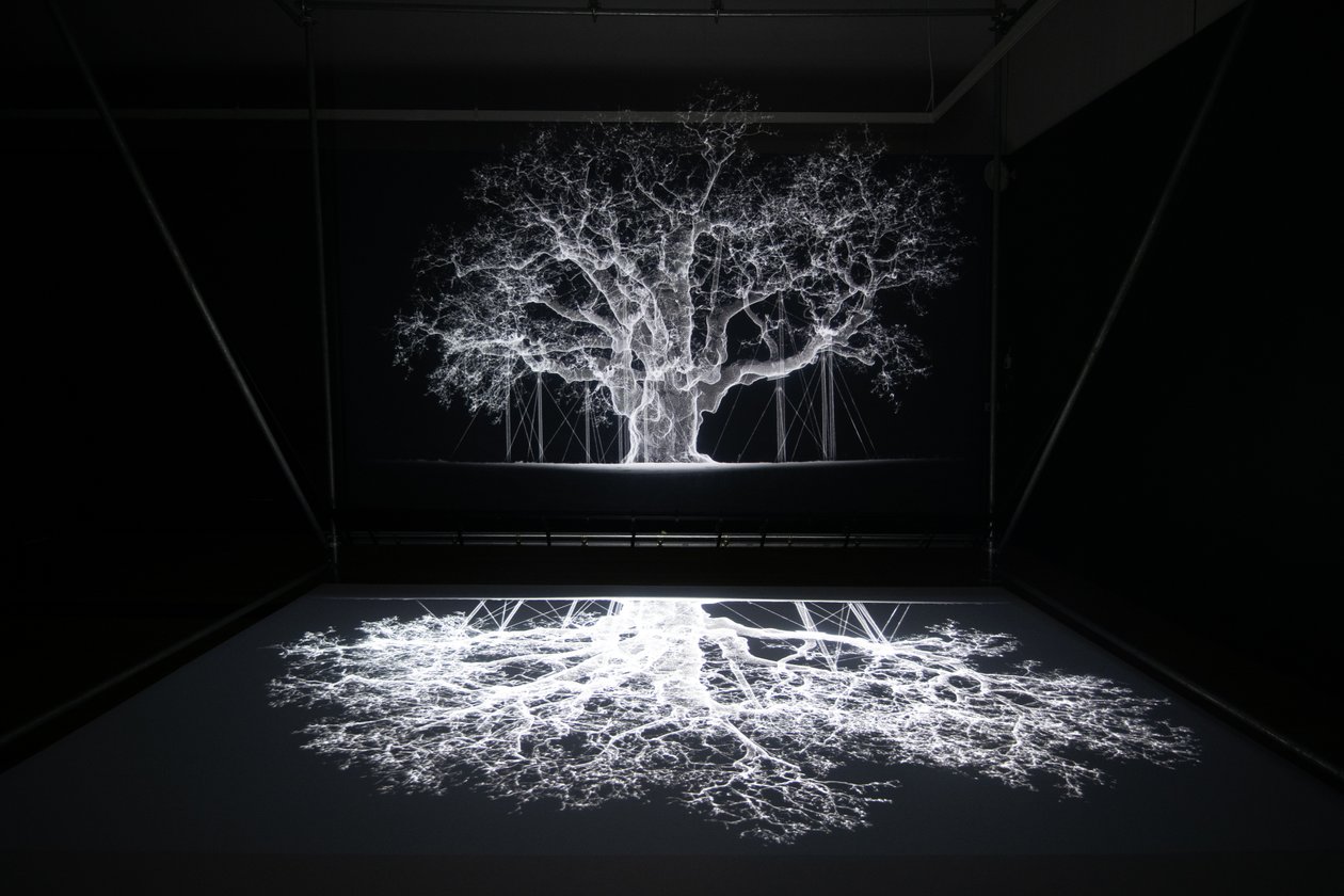 Albion na výstavě Mata Collishawa "Petrichor" v Kew Gardens v Londýně, 2023 (foto) od Mat Collishaw