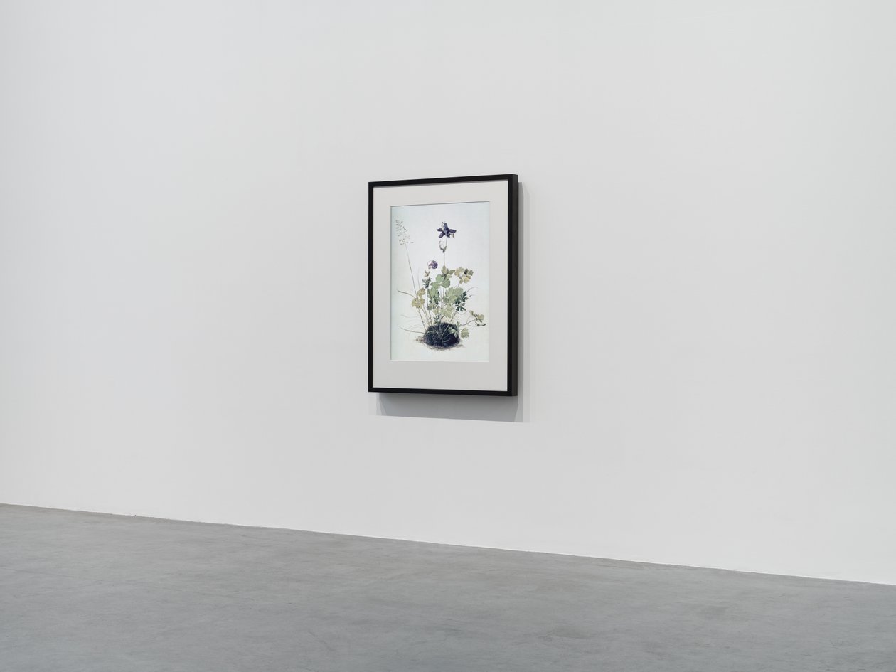 Columbine, 2018 (dřevěný rám, rámeček, LCD obrazovka, ventilátor a přehrávač médií) od Mat Collishaw