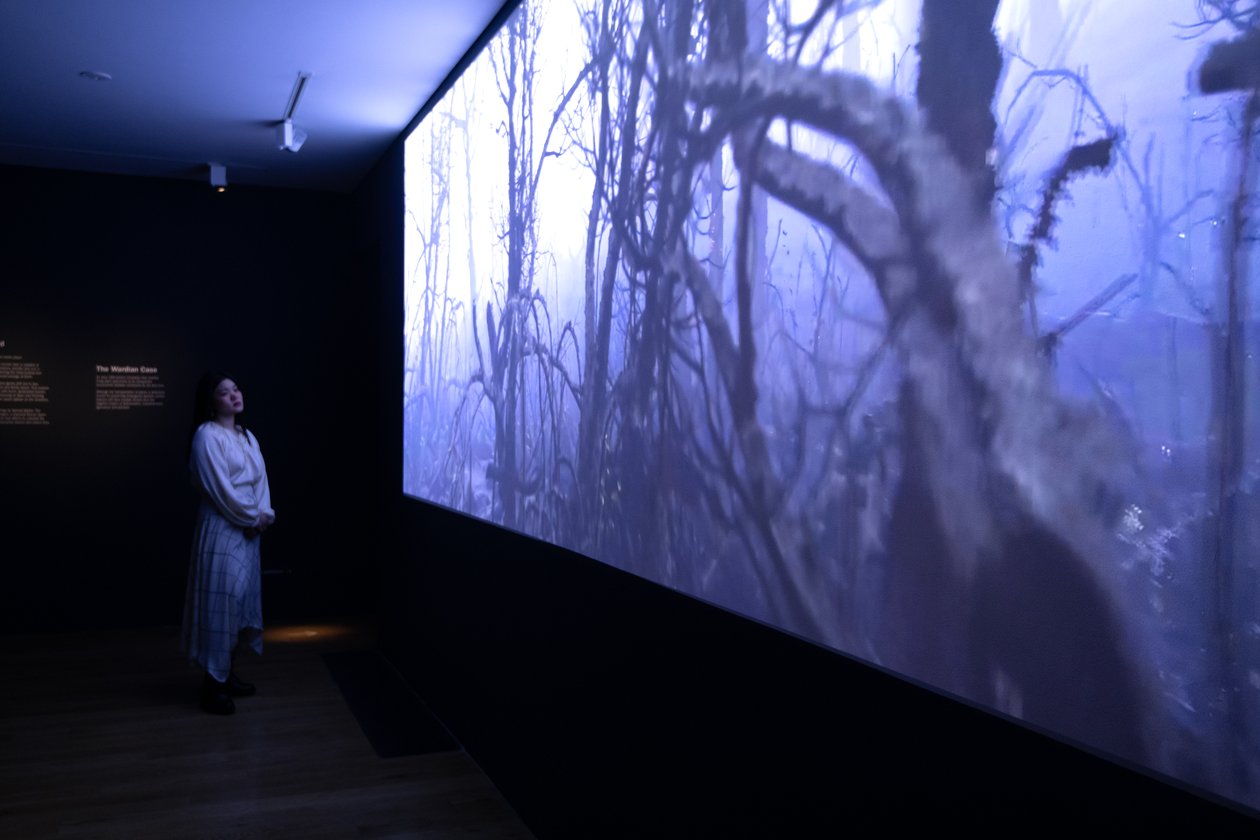 Dokonce až do konce, na výstavě Mata Collishawa "Petrichor" v Kew Gardens, Londýn, 2023 (foto) od Mat Collishaw