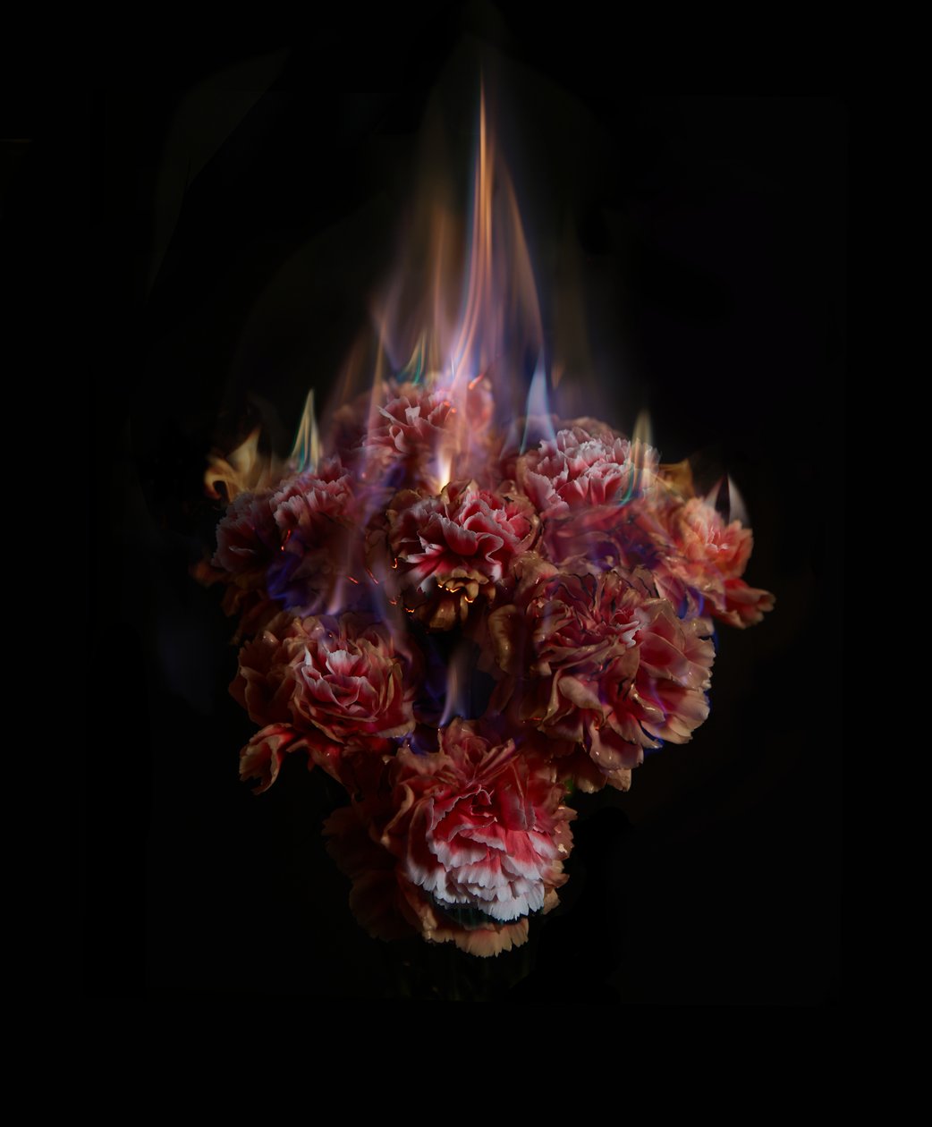 Blednoucí vzpomínky na slunce, 2013 (fotografie typu C) od Mat Collishaw